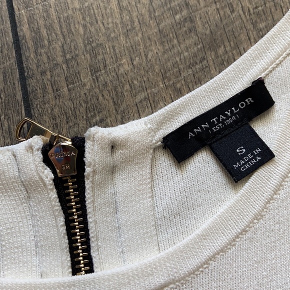 Ann Taylor Neutral Color Block Exposed Zipper Top - Picture 5 of 8